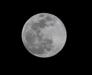6S3A1761Palomar_Moon_April_2016