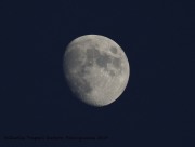 0J6A8528Moon_08_11_2019